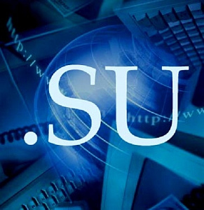 ����������� ������ � ���� .su